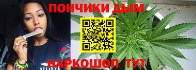 сатива Новодвинск