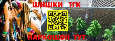 сатива Новодвинск
