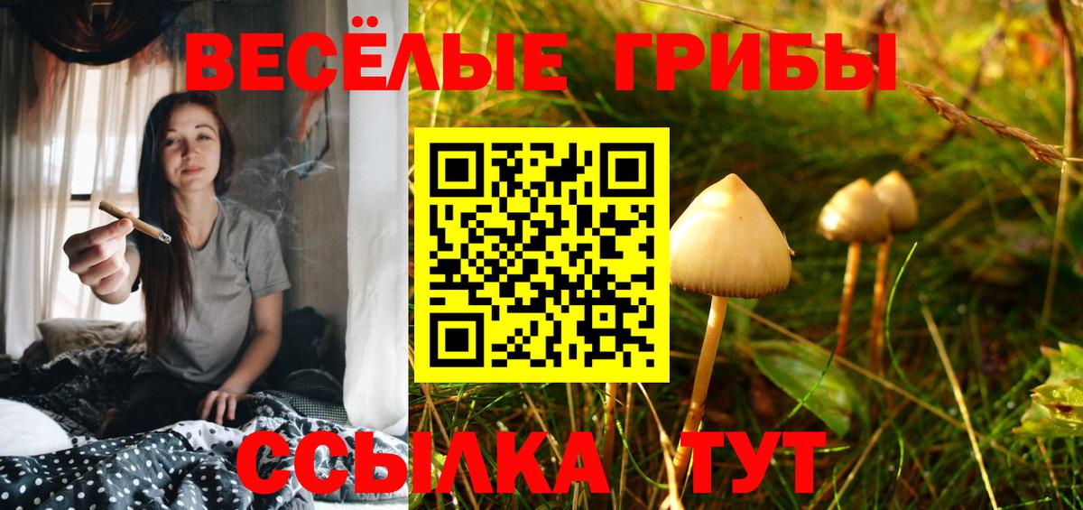 Светлоград  А ПВП СОЛЬ   Мефедрон   Вход с VPN  Гашиш  МЕТАДОН 